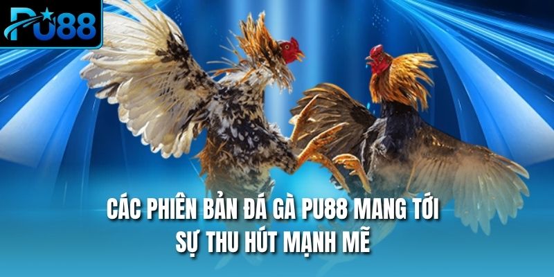 Các phiên bản đá gà PU88 mang tới sự thu hút mạnh mẽ