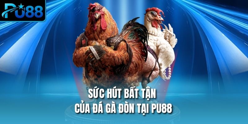 Sức hút bất tận của đá gà đòn tại PU88